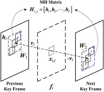 Green Visual Sensor of Plant: An Energy-Efficient Compressive Video Sensing in the Internet of Things